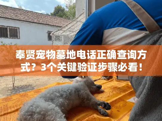 奉贤宠物墓地电话正确查询方式？3个关键验证步骤必看！