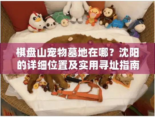 棋盘山宠物墓地在哪？沈阳的详细位置及实用寻址指南