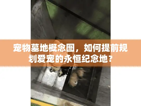 宠物墓地概念图，如何提前规划爱宠的永恒纪念地？
