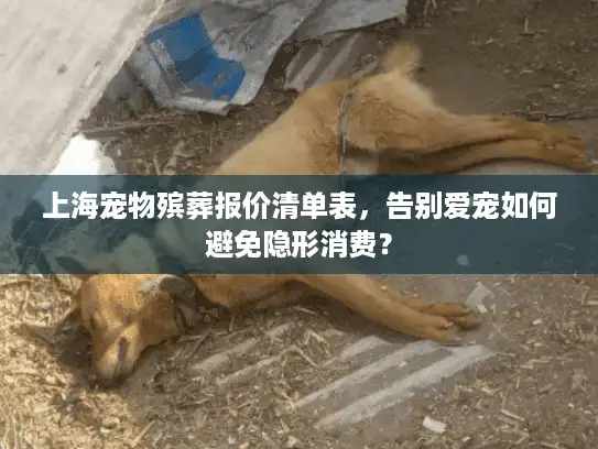 上海宠物殡葬报价清单表，告别爱宠如何避免隐形消费？