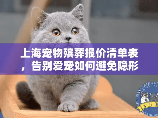 上海宠物殡葬报价清单表，告别爱宠如何避免隐形消费？