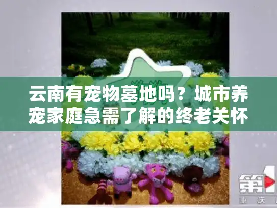 云南有宠物墓地吗？城市养宠家庭急需了解的终老关怀方案
