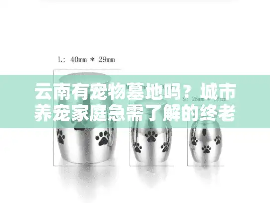 云南有宠物墓地吗？城市养宠家庭急需了解的终老关怀方案