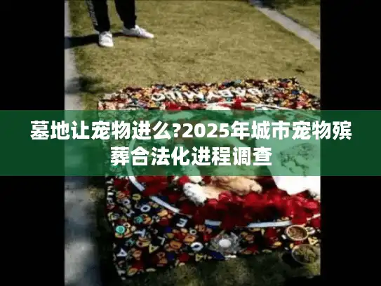 墓地让宠物进么?2025年城市宠物殡葬合法化进程调查