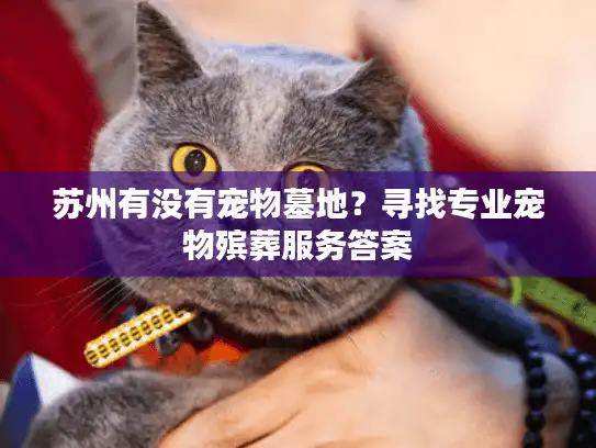 苏州有没有宠物墓地？寻找专业宠物殡葬服务答案