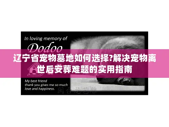 辽宁省宠物墓地如何选择?解决宠物离世后安葬难题的实用指南