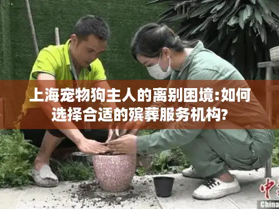 上海宠物狗主人的离别困境:如何选择合适的殡葬服务机构?