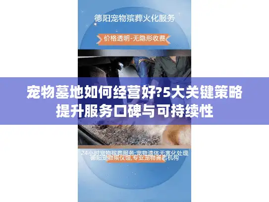 宠物墓地如何经营好?5大关键策略提升服务口碑与可持续性
