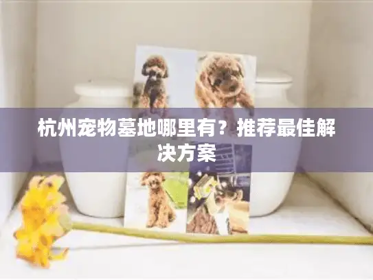 杭州宠物墓地哪里有？推荐最佳解决方案