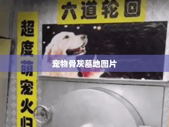 宠物骨灰墓地图片