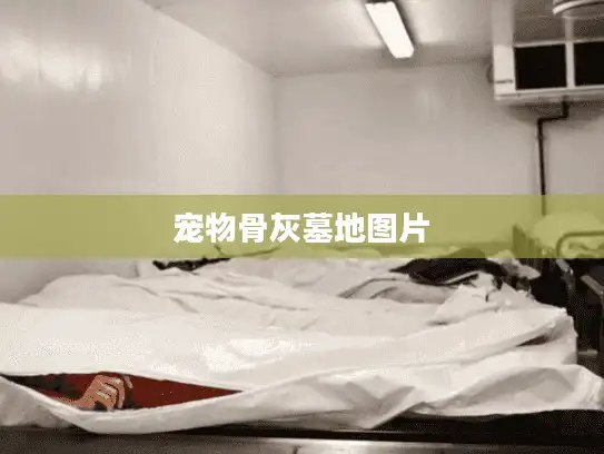 宠物骨灰墓地图片