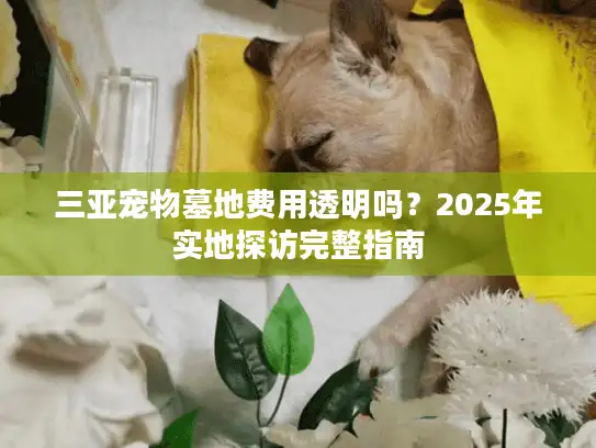 三亚宠物墓地费用透明吗？2025年实地探访完整指南