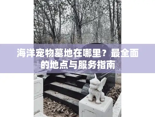 海洋宠物墓地在哪里？最全面的地点与服务指南