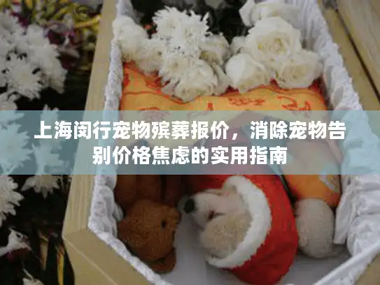 上海闵行宠物殡葬报价，消除宠物告别价格焦虑的实用指南