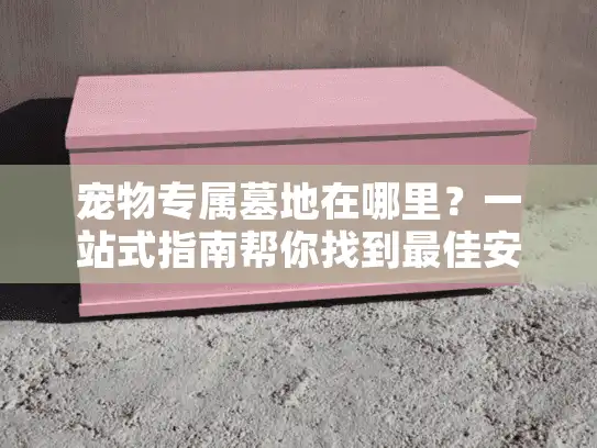 宠物专属墓地在哪里？一站式指南帮你找到最佳安息地