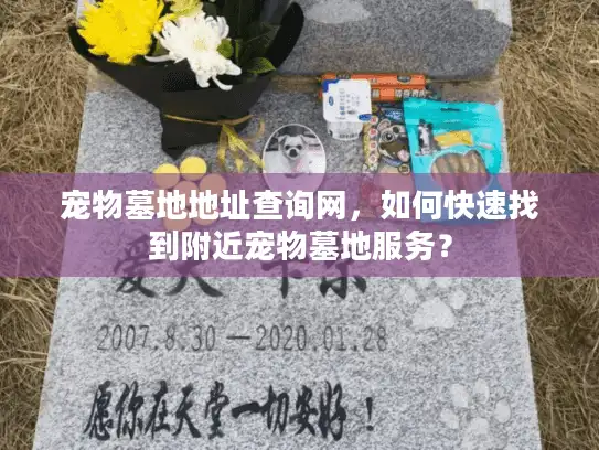 宠物墓地地址查询网，如何快速找到附近宠物墓地服务？