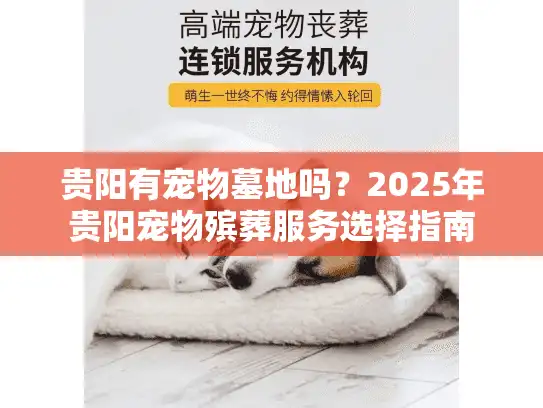 贵阳有宠物墓地吗？2025年贵阳宠物殡葬服务选择指南
