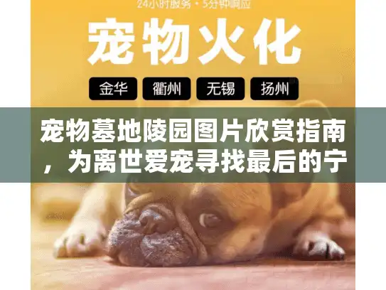 宠物墓地陵园图片欣赏指南，为离世爱宠寻找最后的宁静家园