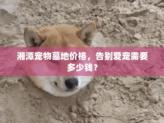 湘潭宠物墓地价格，告别爱宠需要多少钱？