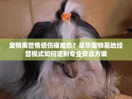 宠物离世情感伤痛难愈？豪华宠物墓地经营模式如何定制专业安息方案