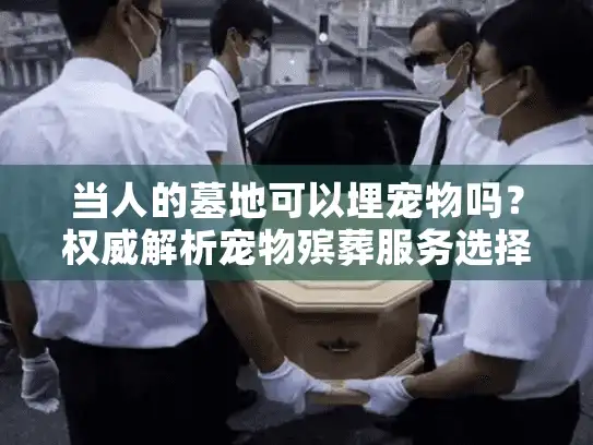 当人的墓地可以埋宠物吗？权威解析宠物殡葬服务选择