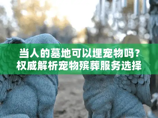 当人的墓地可以埋宠物吗？权威解析宠物殡葬服务选择