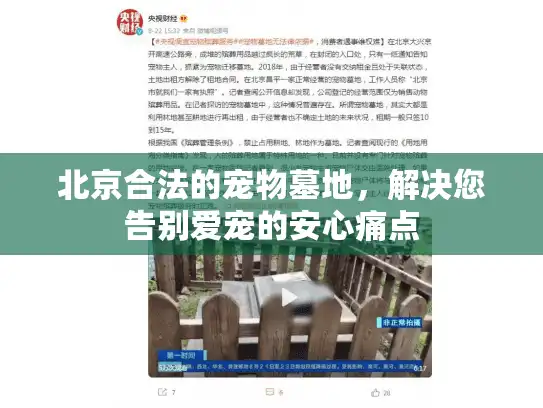 北京合法的宠物墓地，解决您告别爱宠的安心痛点