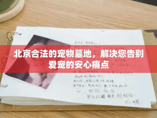 北京合法的宠物墓地，解决您告别爱宠的安心痛点
