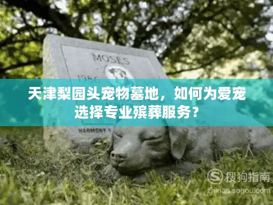 天津梨园头宠物墓地，如何为爱宠选择专业殡葬服务？