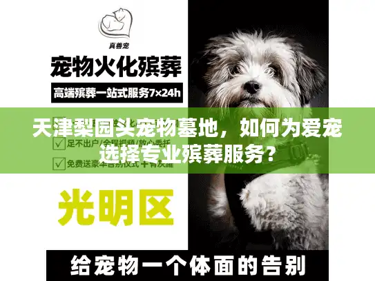 天津梨园头宠物墓地，如何为爱宠选择专业殡葬服务？