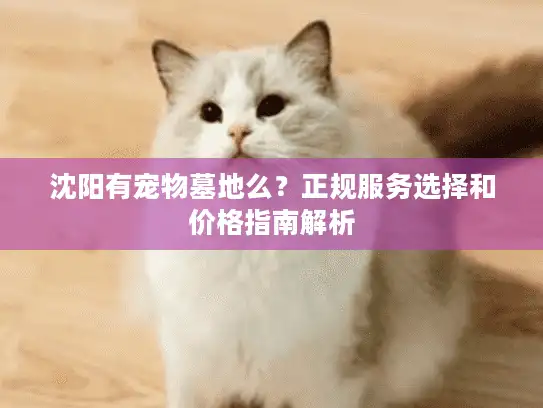 沈阳有宠物墓地么？正规服务选择和价格指南解析