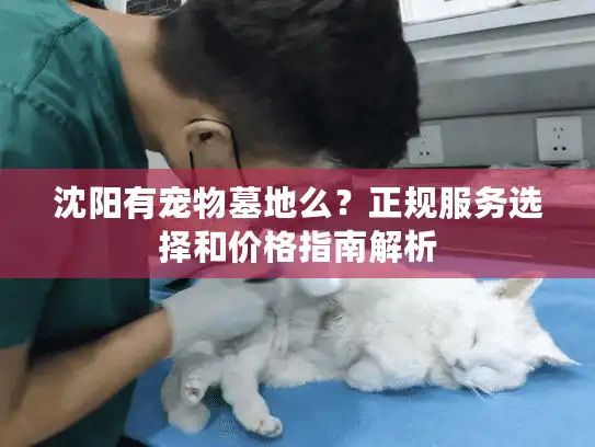 沈阳有宠物墓地么？正规服务选择和价格指南解析