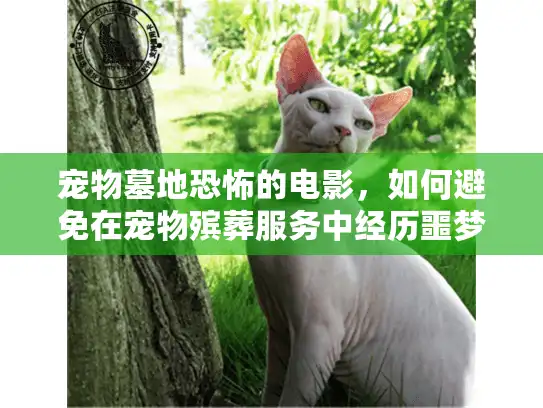宠物墓地恐怖的电影，如何避免在宠物殡葬服务中经历噩梦？