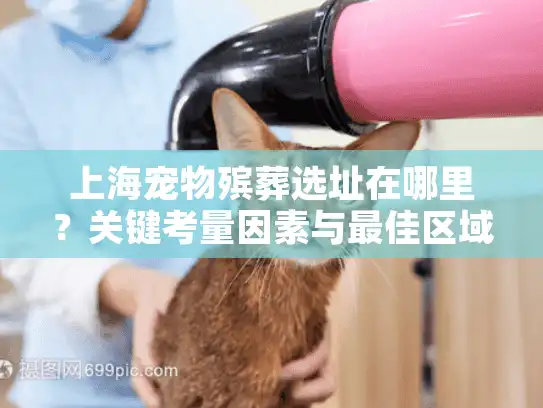 上海宠物殡葬选址在哪里？关键考量因素与最佳区域指南
