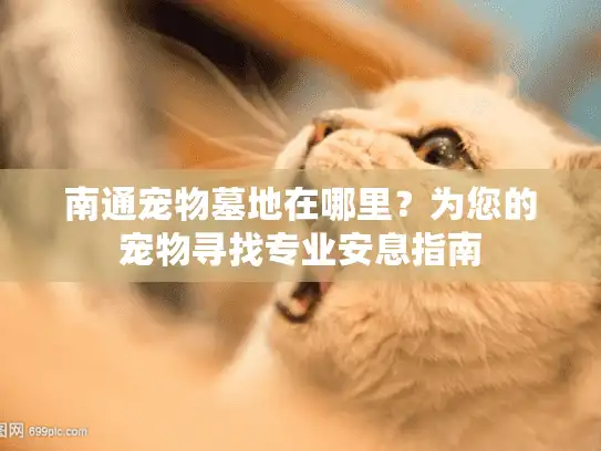 南通宠物墓地在哪里？为您的宠物寻找专业安息指南