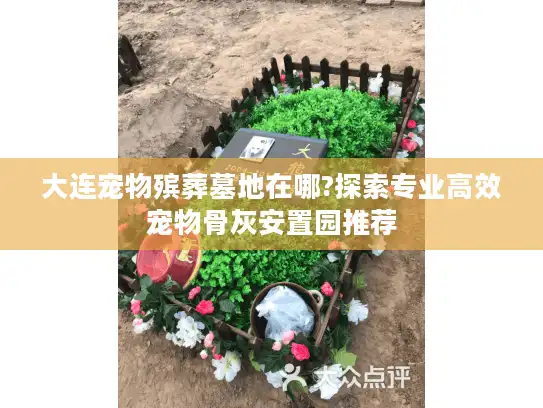 大连宠物殡葬墓地在哪?探索专业高效宠物骨灰安置园推荐