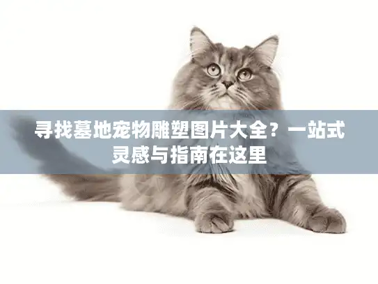 寻找墓地宠物雕塑图片大全？一站式灵感与指南在这里