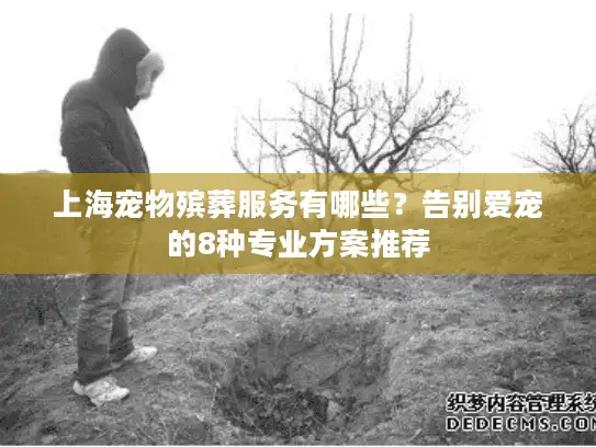 上海宠物殡葬服务有哪些？告别爱宠的8种专业方案推荐
