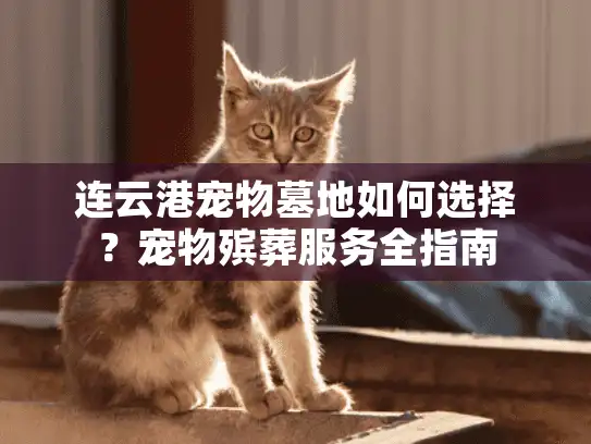 连云港宠物墓地如何选择？宠物殡葬服务全指南