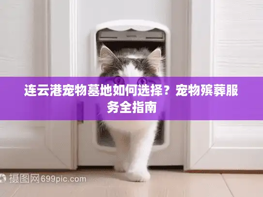 连云港宠物墓地如何选择？宠物殡葬服务全指南
