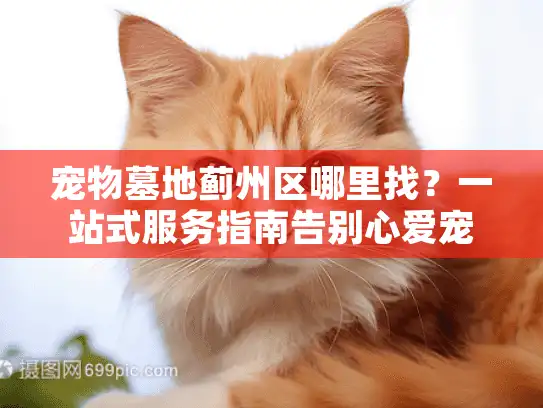 宠物墓地蓟州区哪里找？一站式服务指南告别心爱宠物