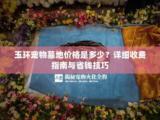玉环宠物墓地价格是多少？详细收费指南与省钱技巧