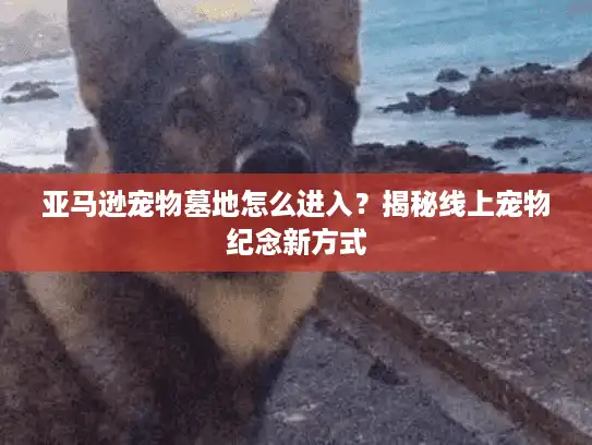 亚马逊宠物墓地怎么进入？揭秘线上宠物纪念新方式