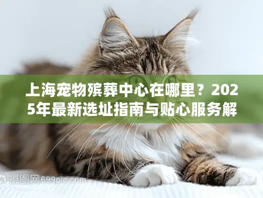 上海宠物殡葬中心在哪里？2025年最新选址指南与贴心服务解析