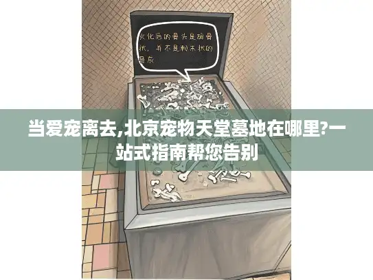 当爱宠离去,北京宠物天堂墓地在哪里?一站式指南帮您告别