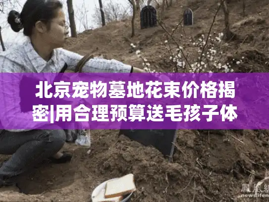 北京宠物墓地花束价格揭密|用合理预算送毛孩子体面告别