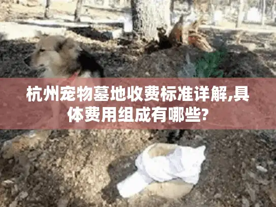 杭州宠物墓地收费标准详解,具体费用组成有哪些?