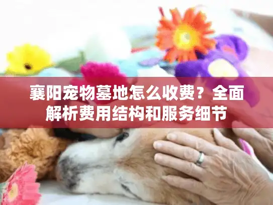 襄阳宠物墓地怎么收费？全面解析费用结构和服务细节