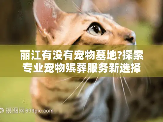 丽江有没有宠物墓地?探索专业宠物殡葬服务新选择