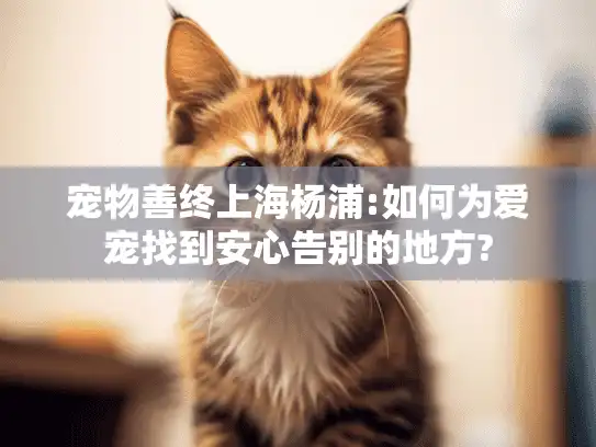 宠物善终上海杨浦:如何为爱宠找到安心告别的地方?